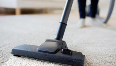This image shows a vacuum being used to clean a carpet.