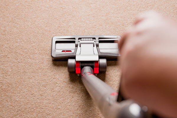This image shows a man using a steam vacuum to clean a carpet.
