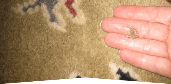 This image shows a hand with carpet wool.